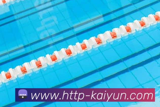 开云APP 高清赛事图