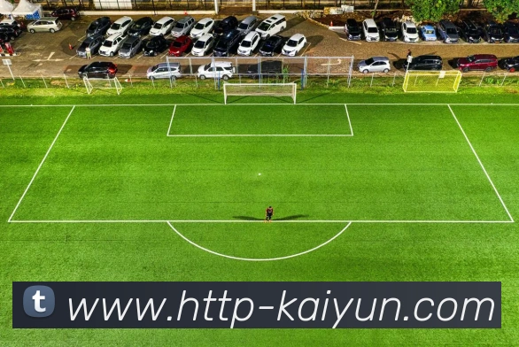 数据防护可视化